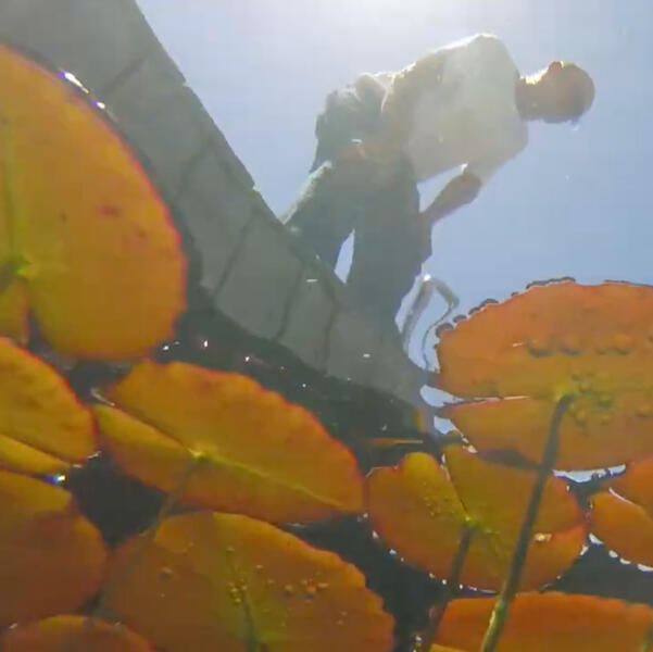 Hotel Verde - World Wetlands Day